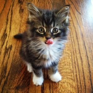 Meet your Posher, Jackie